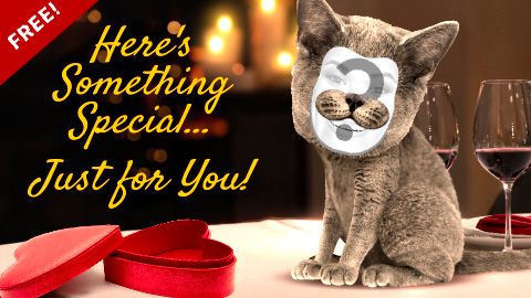Free Valentine's Day Cards  Virtual Valentine eCards - 14 FEB